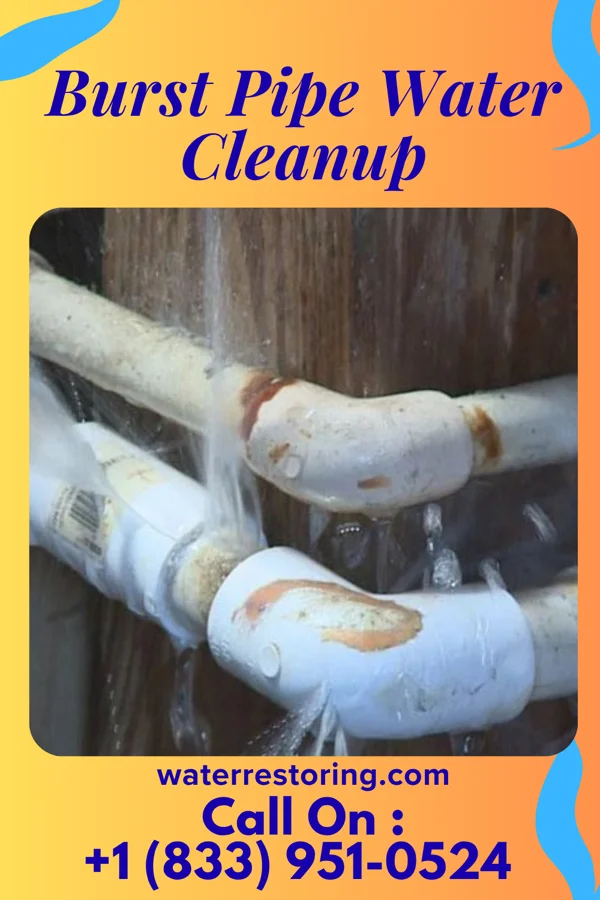 Burst Pipe Water Cleanup in Cade Lakes, TX