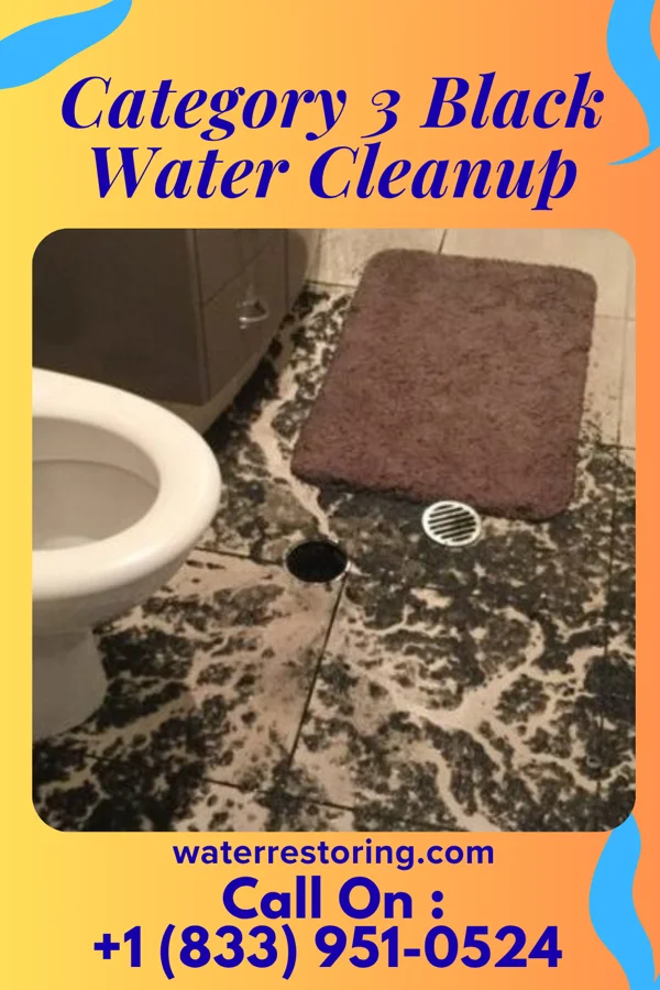 Category 3 Black Water Cleanup in Cade Lakes, TX