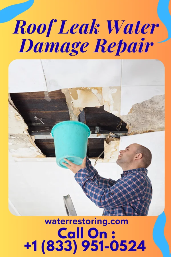 Roof Leak Water Damage Repair in Cade Lakes, TX